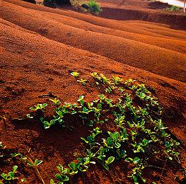 科幻游戏《最后的信号》Steam页面上线 支持简体中文